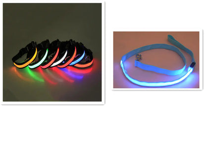 LED Dog Leash with Fluorescent Dog Collar