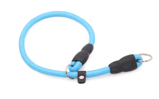 Durable Nylon Dog Training Collar for All Breeds (Single)