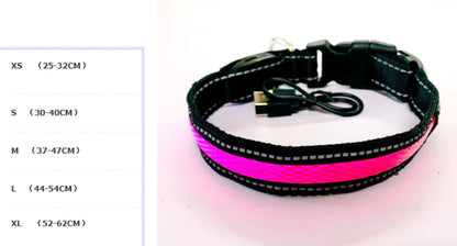 LED Dog Leash with Fluorescent Dog Collar