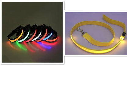 LED Dog Leash with Fluorescent Dog Collar