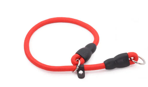 Durable Nylon Dog Training Collar for All Breeds (Single)